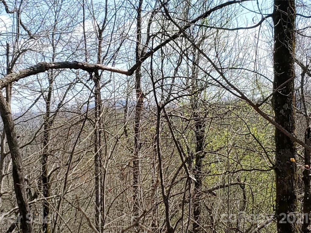 Corner Long Ridge Lane & Corner Long Ridge Lane, Unit 11 Rosman, NC 28772 - Photo 6 of 26