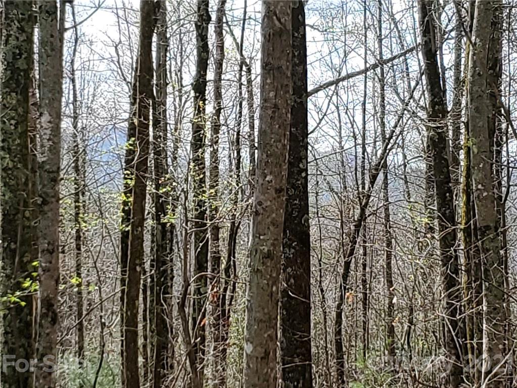 Corner Long Ridge Lane & Corner Long Ridge Lane, Unit 11 Rosman, NC 28772 - Photo 7 of 26