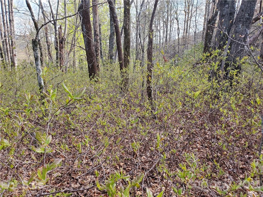 Corner Long Ridge Lane & Corner Long Ridge Lane, Unit 11 Rosman, NC 28772 - Photo 8 of 26