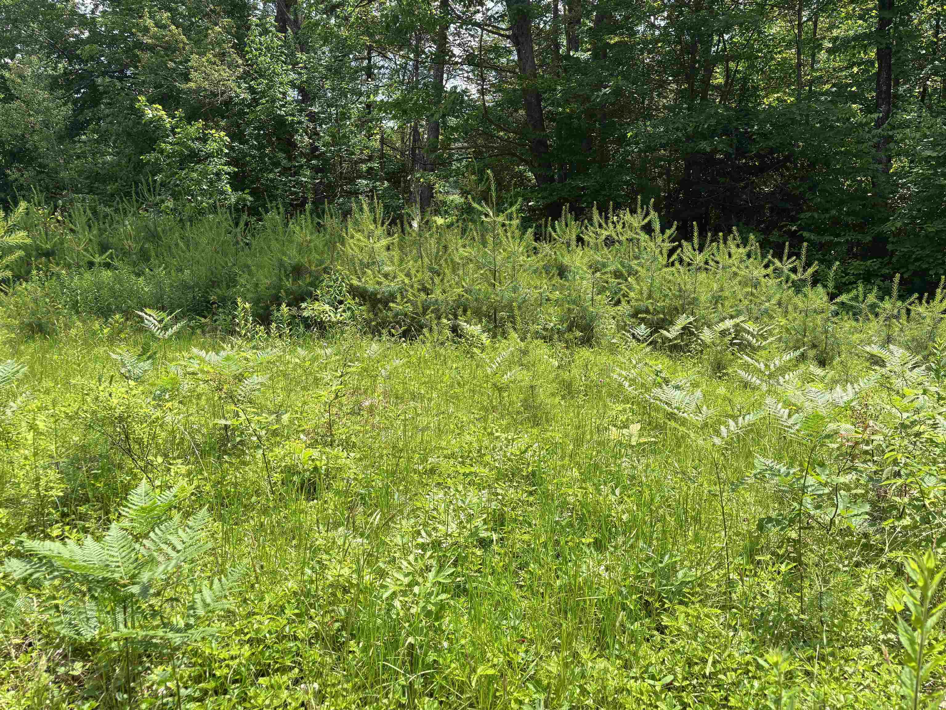 0 Simonsville Road, Unit LOT 3 Andover, VT 05143 - Photo 13 of 27