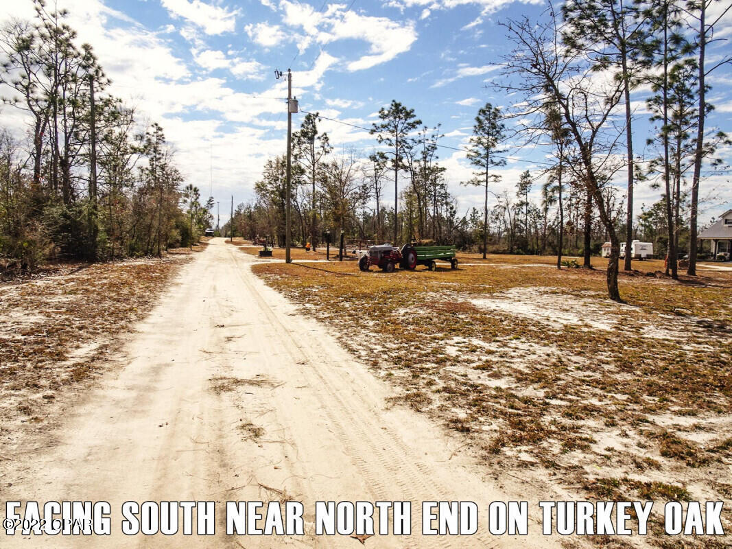 0 Turkey Oak Road Fountain, FL 32438 - Photo 1 of 9 Gallery Image 1
