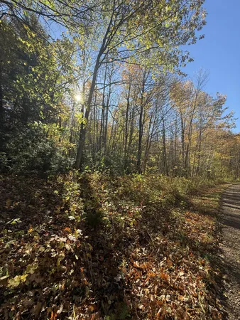 $125,000 | 0 Ashland Bayfield Road, Marengo, WI 54855