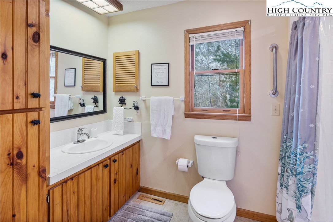 2408 Todd Railroad Grade Road Todd, NC 28684 - Photo 24 of 46 a bathroom with a sink a toilet and shower