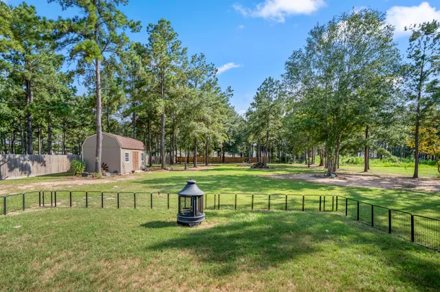 a yard with lots of trees