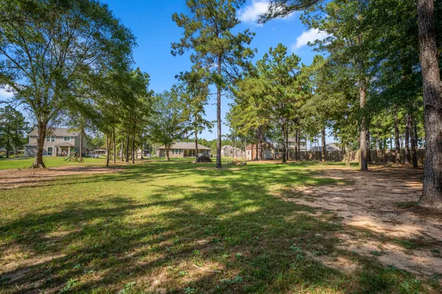 a view of backyard with tree