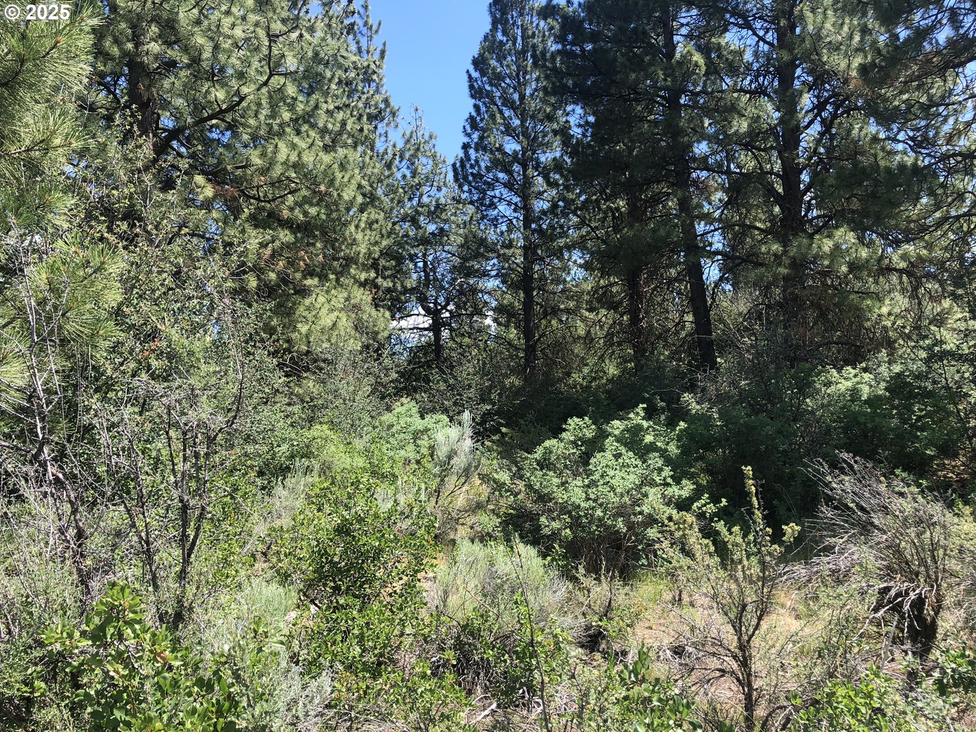 Margi Way, Unit 8 Chiloquin, OR 97624 - Photo 14 of 23