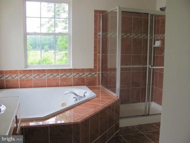 1237 Painted Fern Road Denton, MD 21629 - Photo 3 of 8 Bath (Master)