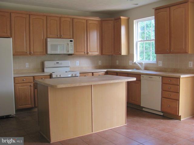 1237 Painted Fern Road Denton, MD 21629 - Photo 4 of 8 Kitchen