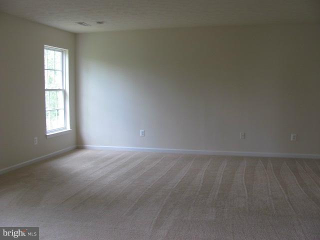 1237 Painted Fern Road Denton, MD 21629 - Photo 7 of 8 Interior (General)