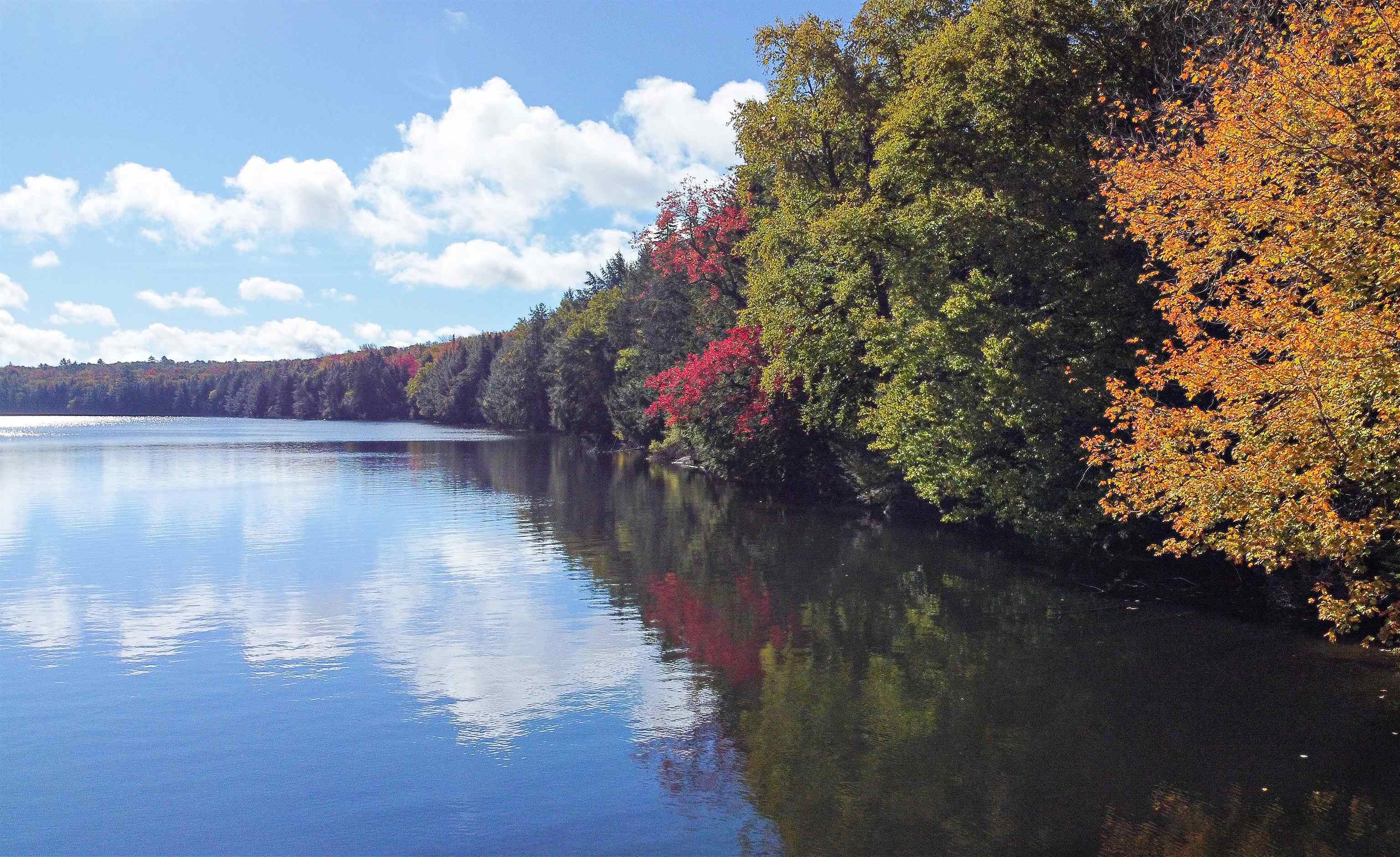 1003 Devils Hill Road Peacham, VT 05658 - Photo 26 of 37