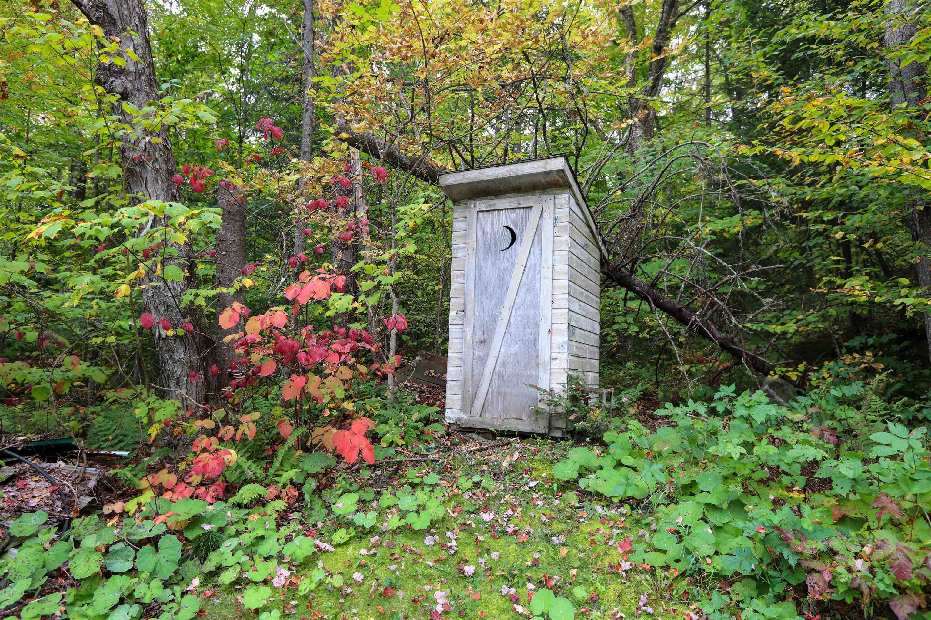 1003 Devils Hill Road Peacham, VT 05658 - Photo 28 of 37