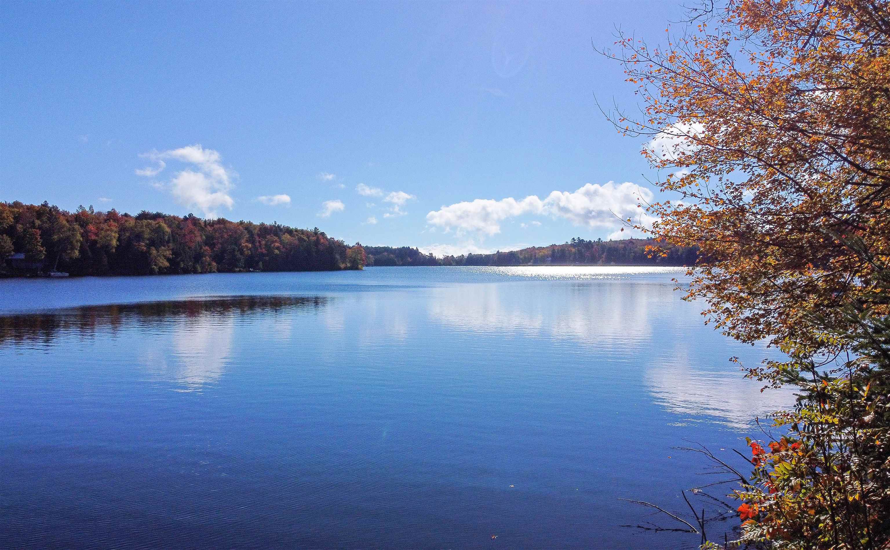 1003 Devils Hill Road Peacham, VT 05658 - Photo 31 of 37