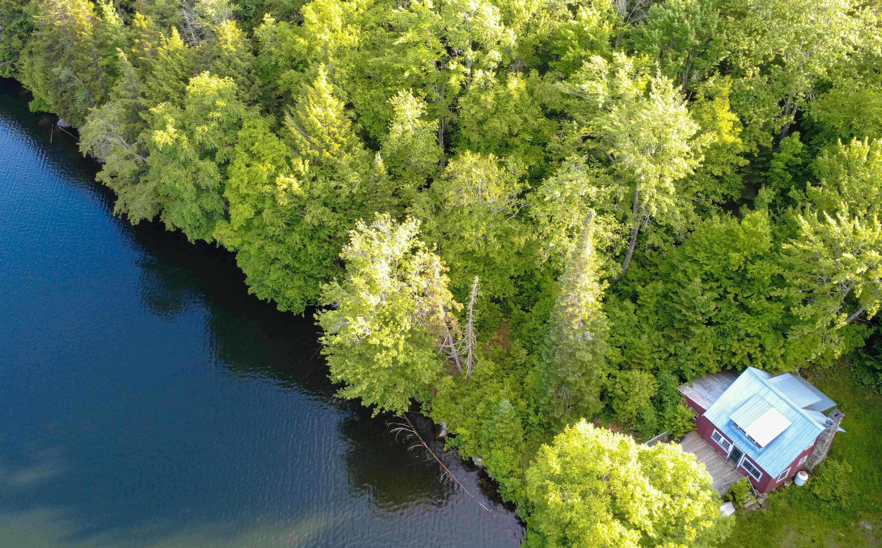 1003 Devils Hill Road Peacham, VT 05658 - Photo 4 of 37