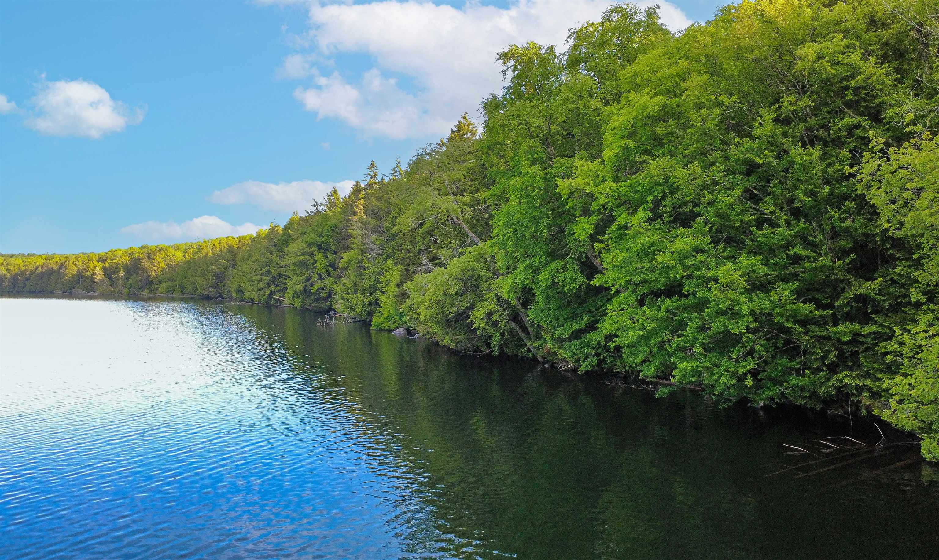 1003 Devils Hill Road Peacham, VT 05658 - Photo 6 of 37