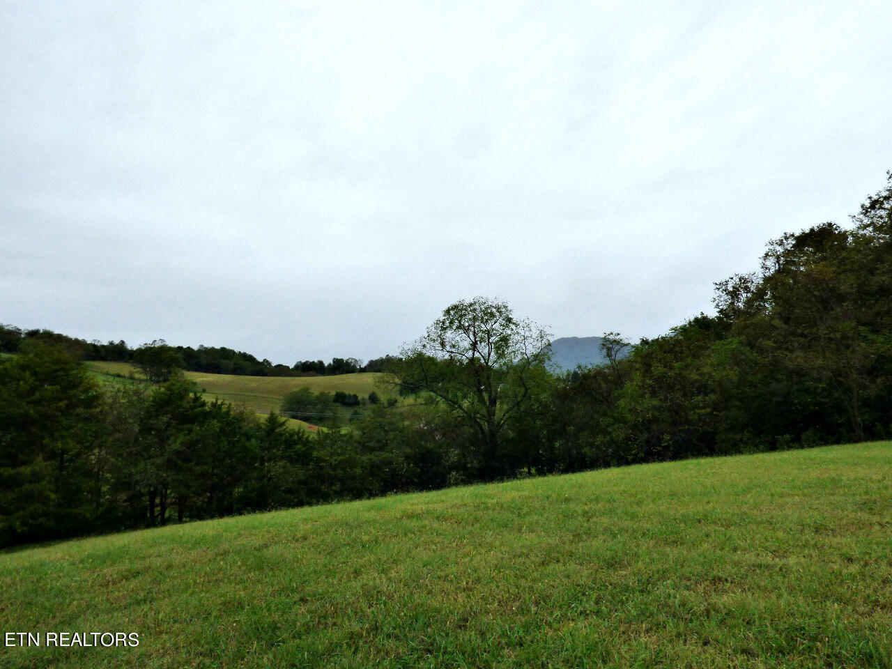 Lot 1 Indian Ridge Road Blaine, TN 37709 - Photo 3 of 6 3-P1300232