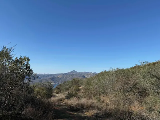 a view of a mountain range with trees in the background