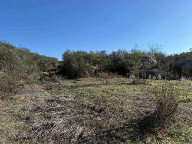 a view of a field with trees in the background
