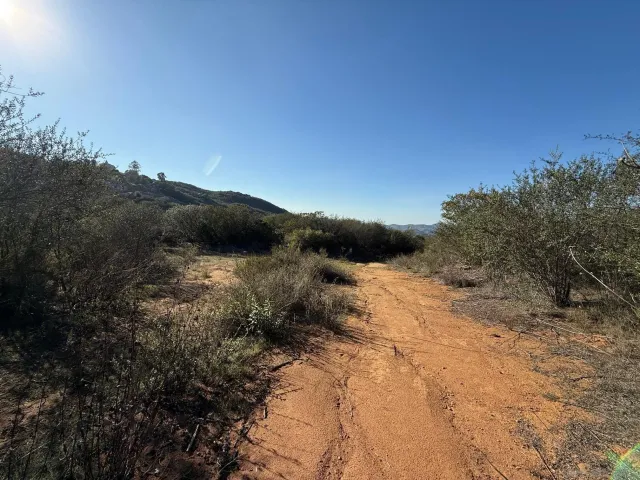 a view of a covered with trees in the background