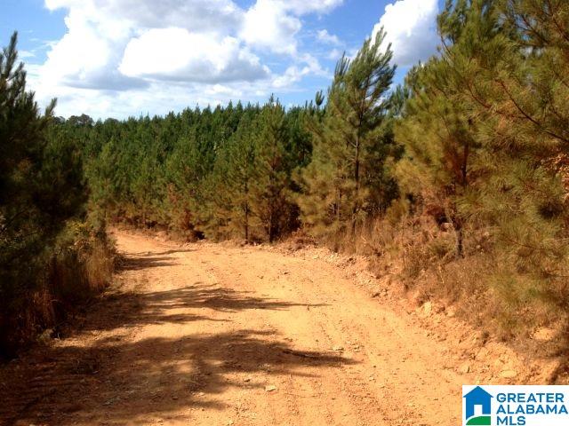 78 Highway 78, Unit 72 ACRES Heflin, AL 36264 - Photo 4 of 7