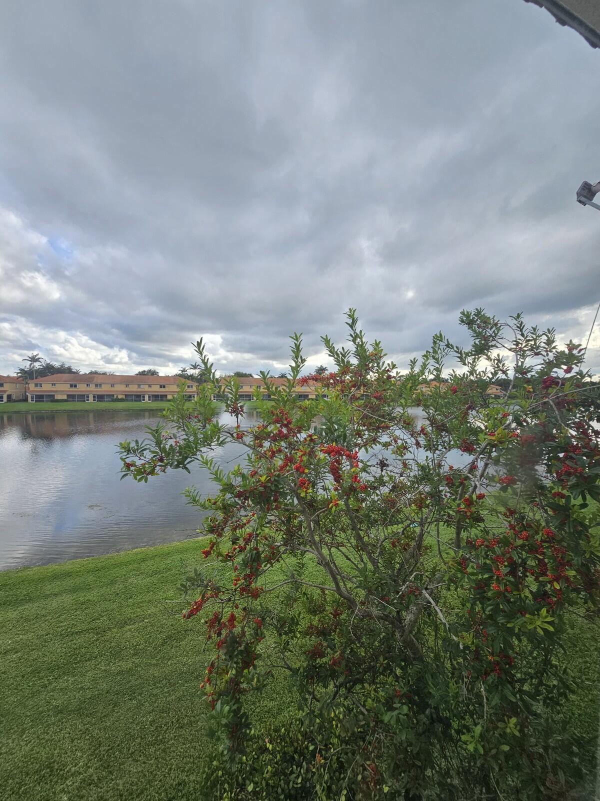 3490 Briar Bay Boulevard, Unit 206 West Palm Beach, FL 33411 - Photo 18 of 25 a view of a lake with houses in back