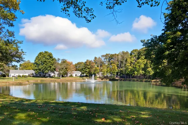 a view of a bunch of plants and trees