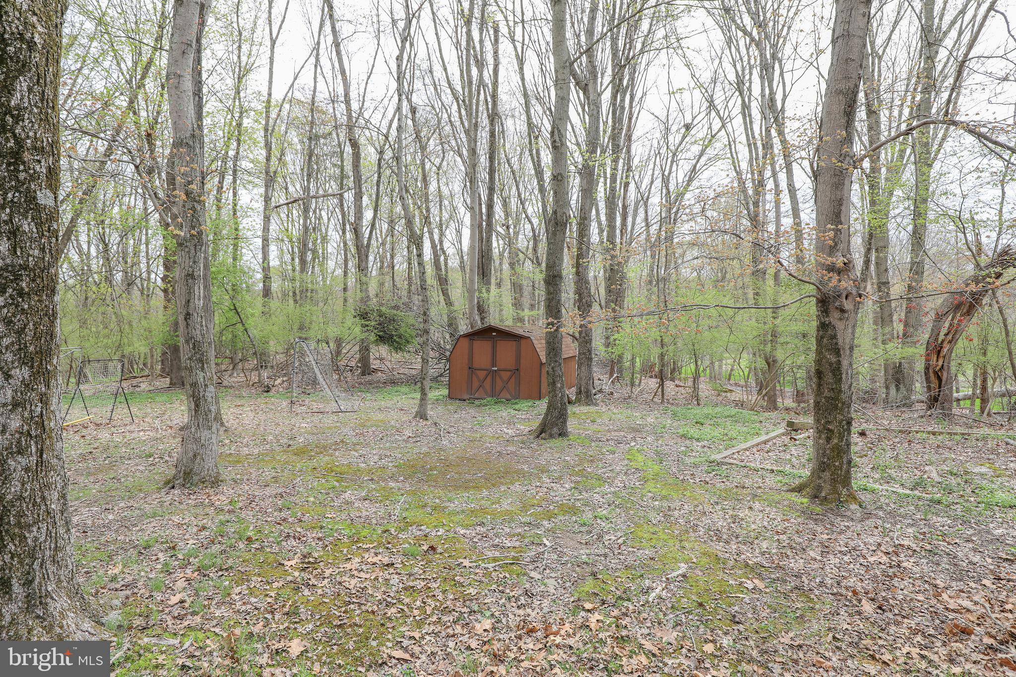 47 Tower Hill Road Doylestown, PA 18901 - Photo 13 of 89 Backyard shed