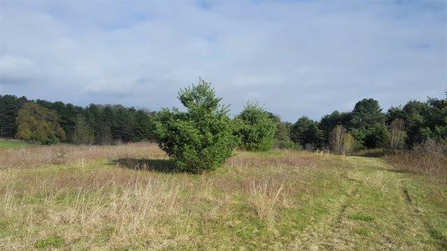 Lot 10 Berryfield Road Yarmouth, ME 04096 - Photo 2 of 6 Photo