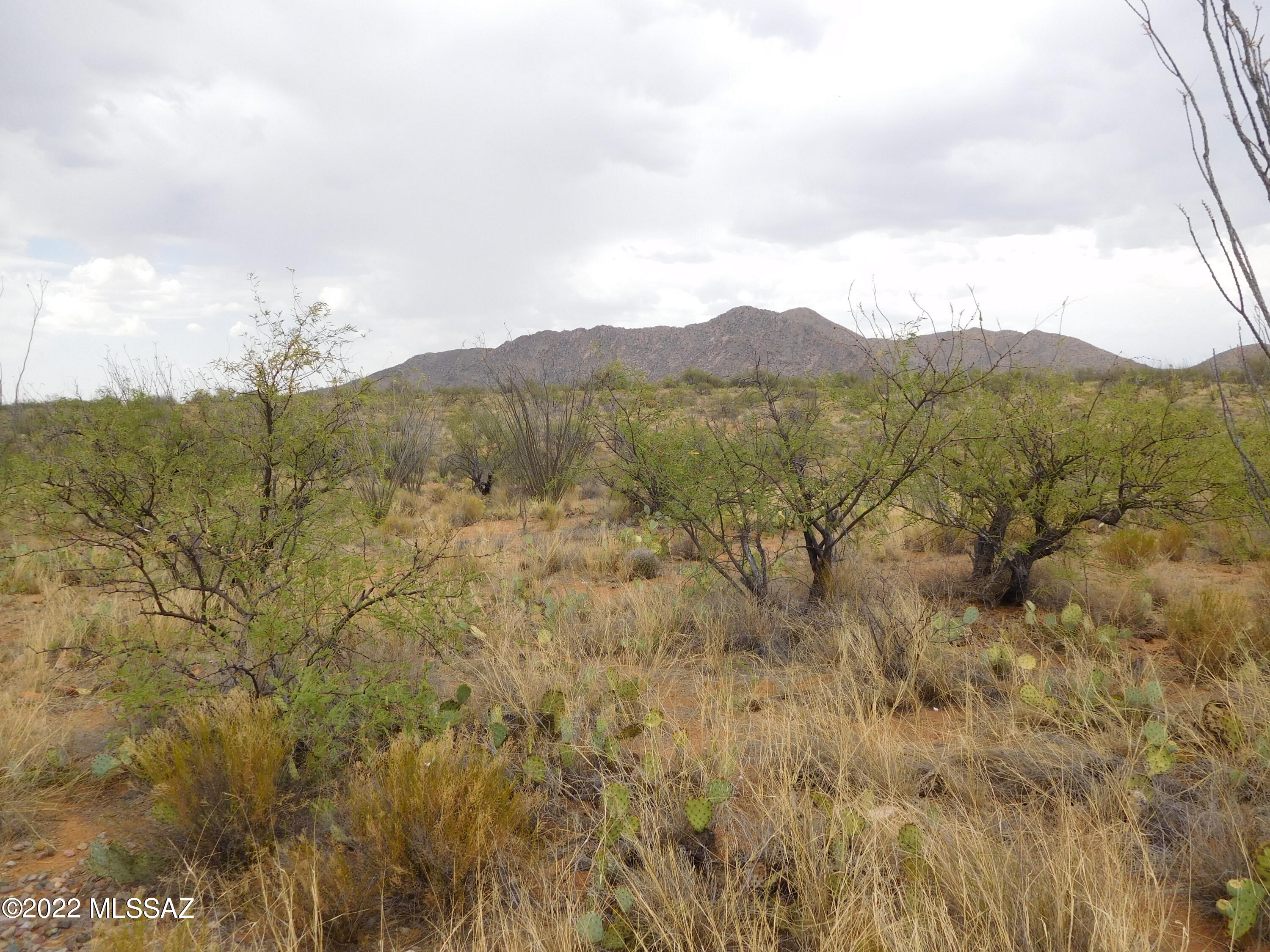 16705 South Sierrita Mountain Road Tucson, AZ 85736 - Photo 9 of 38