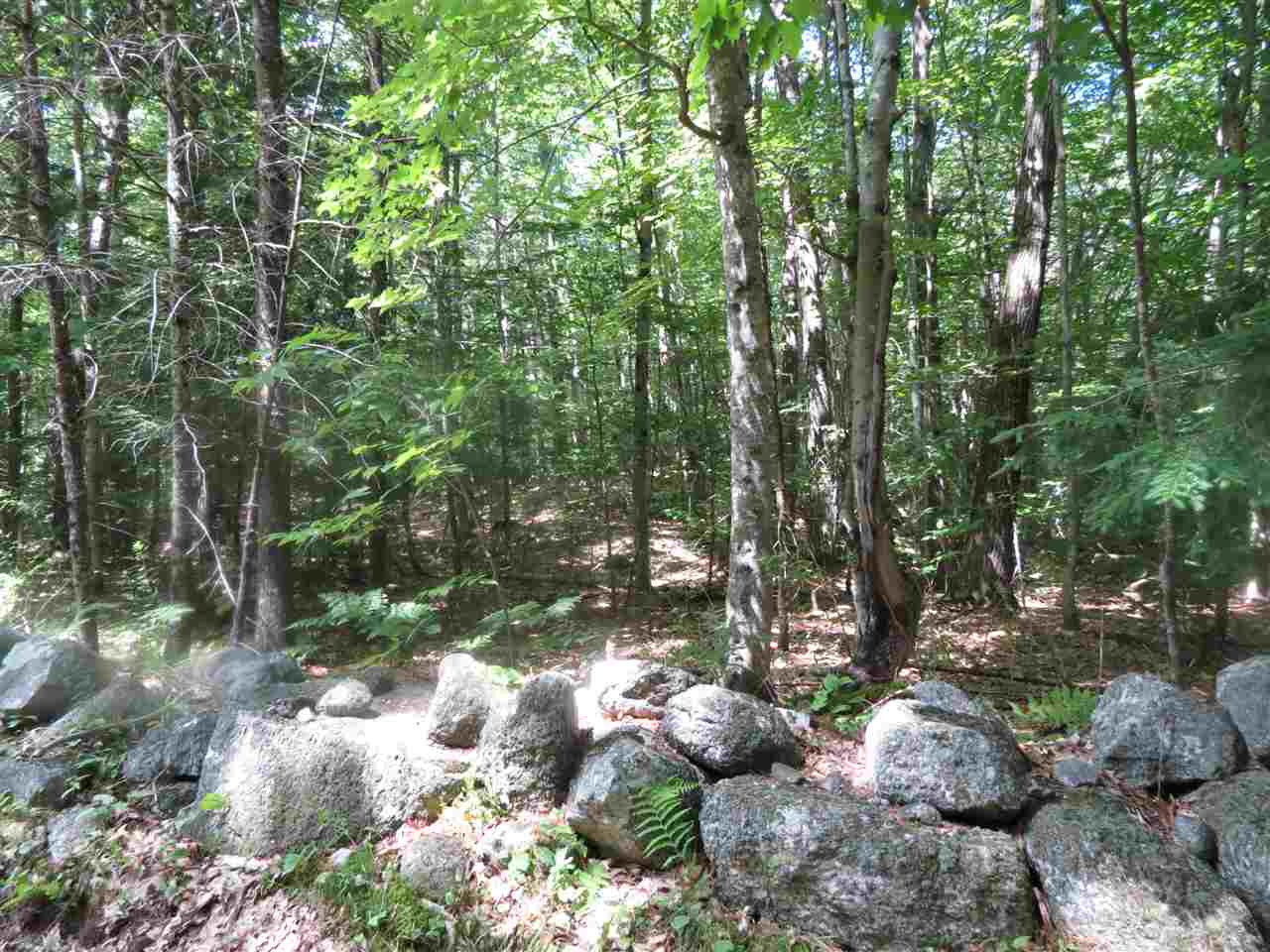 0 Old Perkins Road, Unit 8 Meredith, NH 03253 - Photo 1 of 6