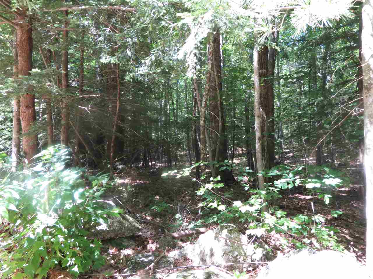 0 Old Perkins Road, Unit 8 Meredith, NH 03253 - Photo 3 of 6