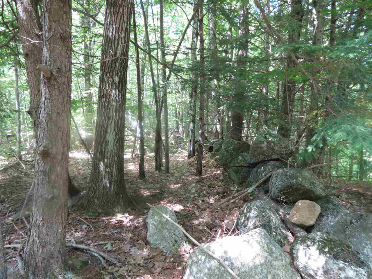 0 Old Perkins Road, Unit 8 Meredith, NH 03253 - Photo 5 of 6