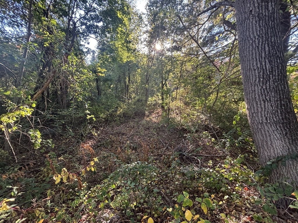 9 Howarth Road Oxford, MA 01540 - Photo 15 of 42