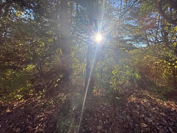 $154,500 | 9 Howarth Road, Oxford, MA 01540