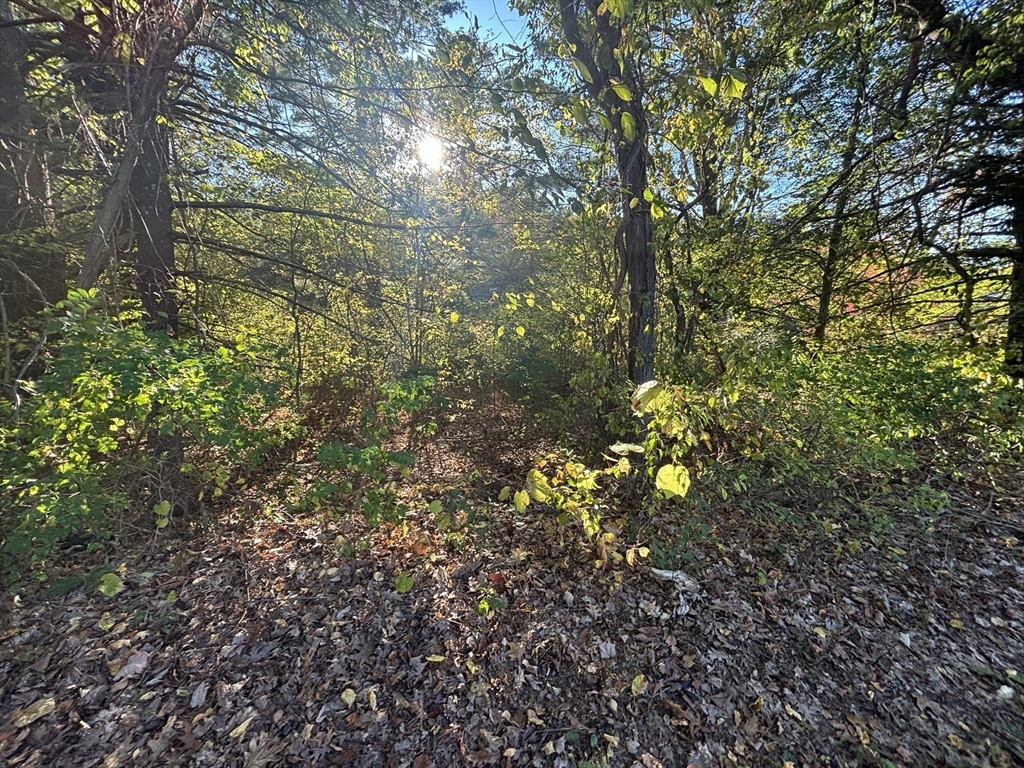 9 Howarth Road Oxford, MA 01540 - Photo 20 of 42