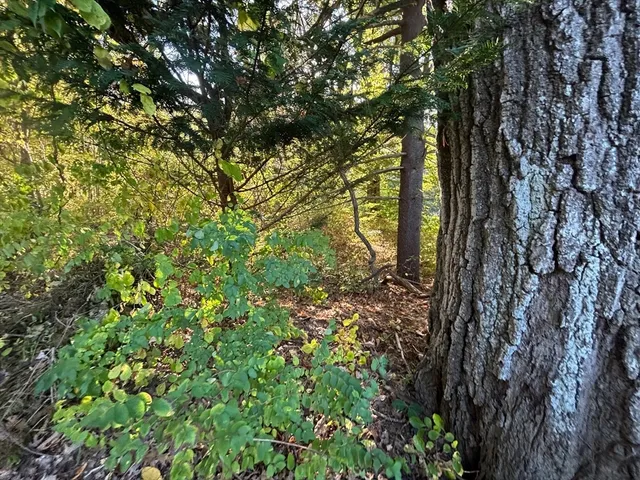 $165,000 | 9 Howarth Road, Oxford, MA 01540