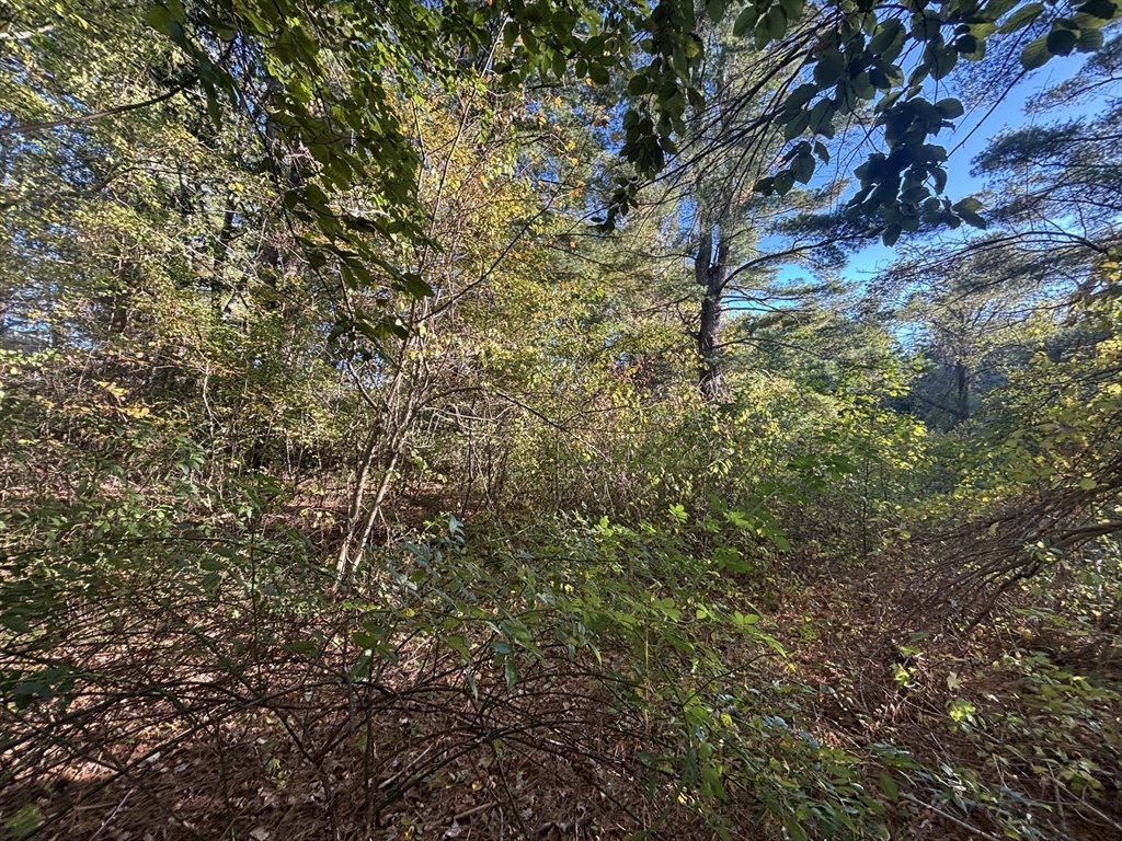 9 Howarth Road Oxford, MA 01540 - Photo 22 of 42