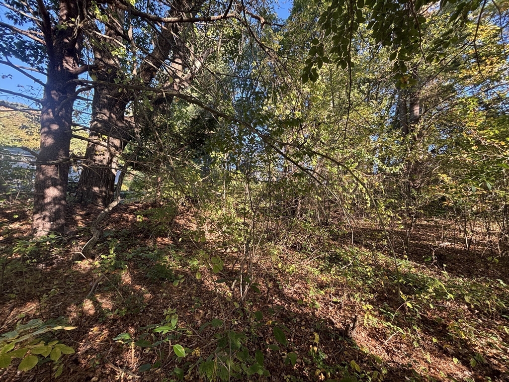 9 Howarth Road Oxford, MA 01540 - Photo 27 of 42