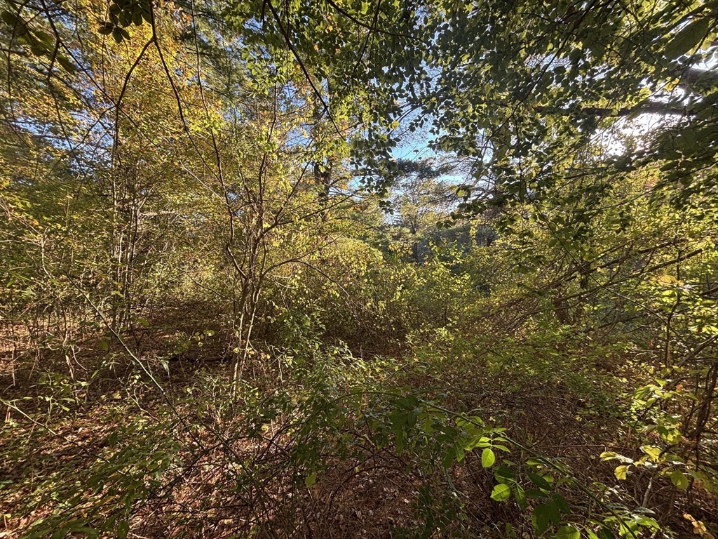 9 Howarth Road Oxford, MA 01540 - Photo 29 of 42