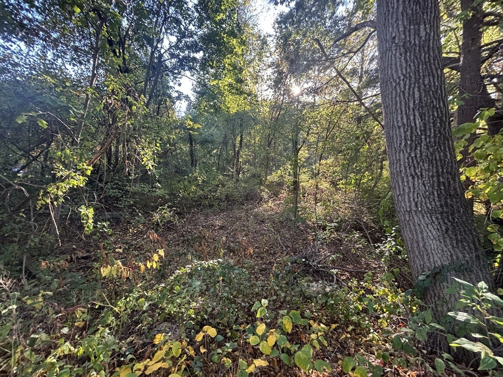 9 Howarth Road Oxford, MA 01540 - Photo 31 of 42