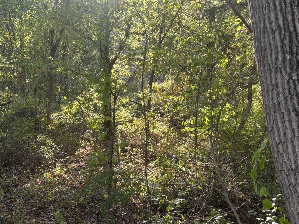 9 Howarth Road Oxford, MA 01540 - Photo 33 of 42