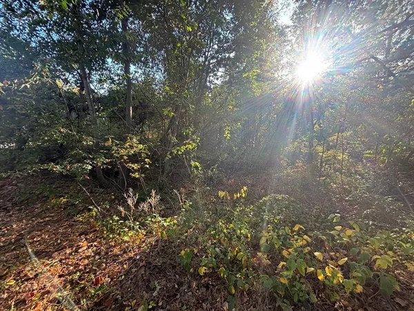 $154,500 | 9 Howarth Road, Oxford, MA 01540