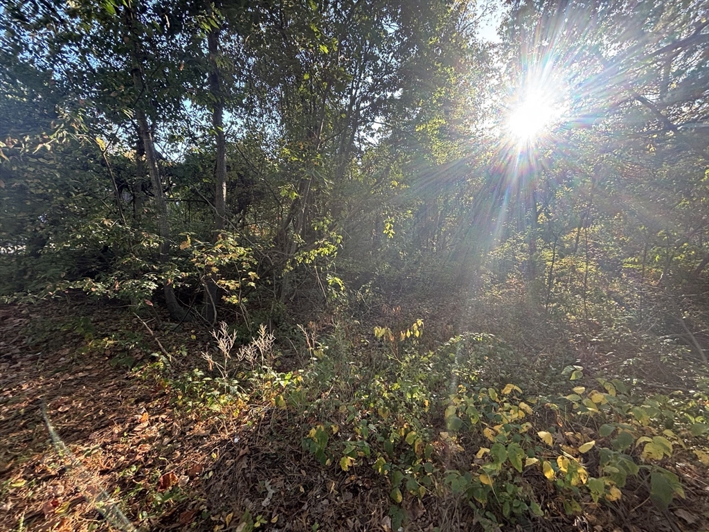 9 Howarth Road Oxford, MA 01540 - Photo 36 of 42