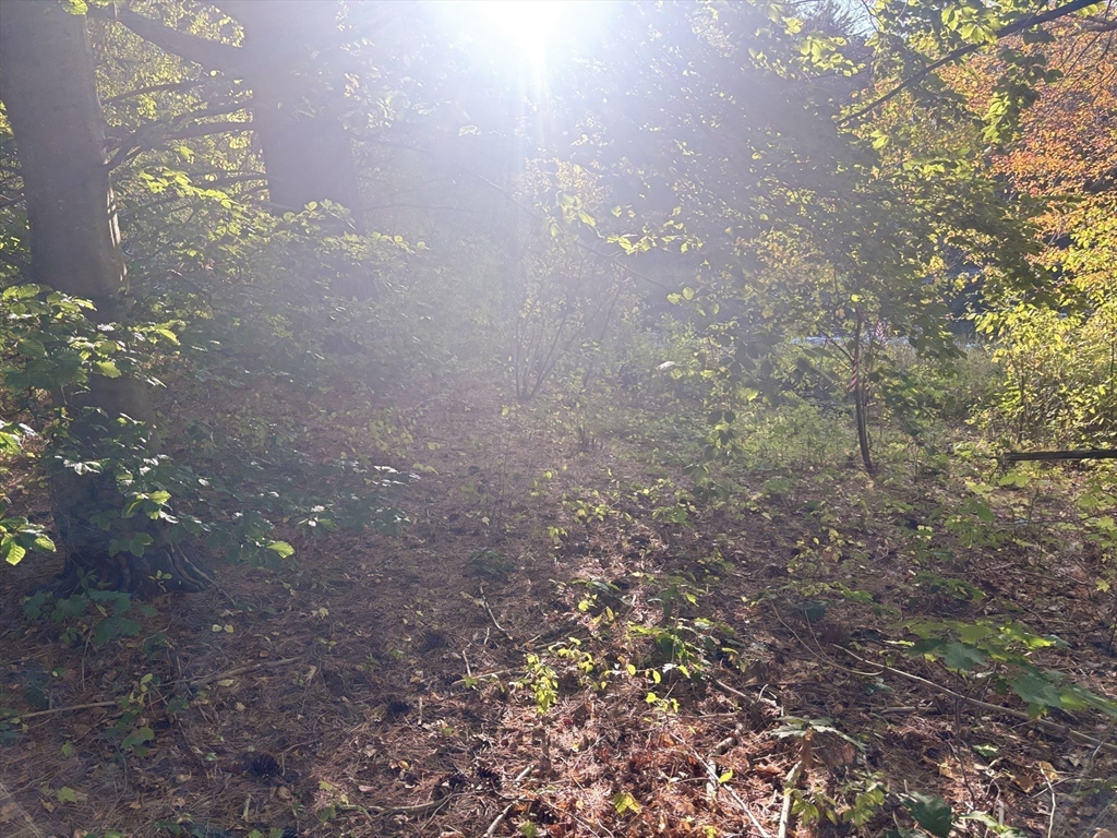 9 Howarth Road Oxford, MA 01540 - Photo 38 of 42