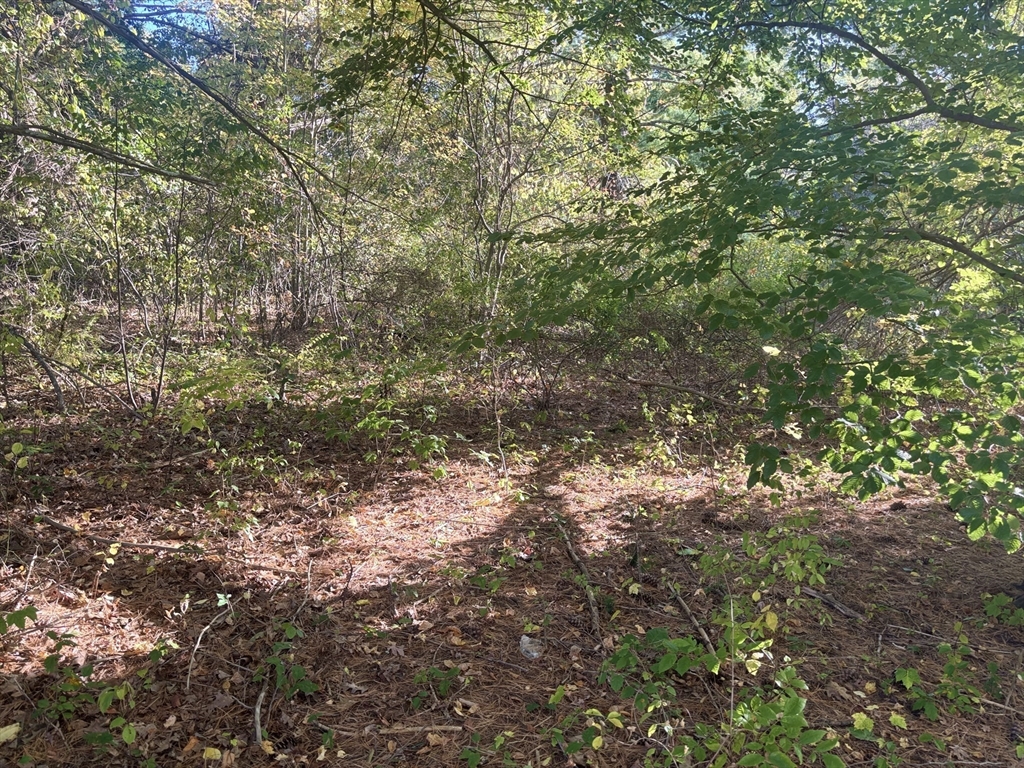 9 Howarth Road Oxford, MA 01540 - Photo 39 of 42