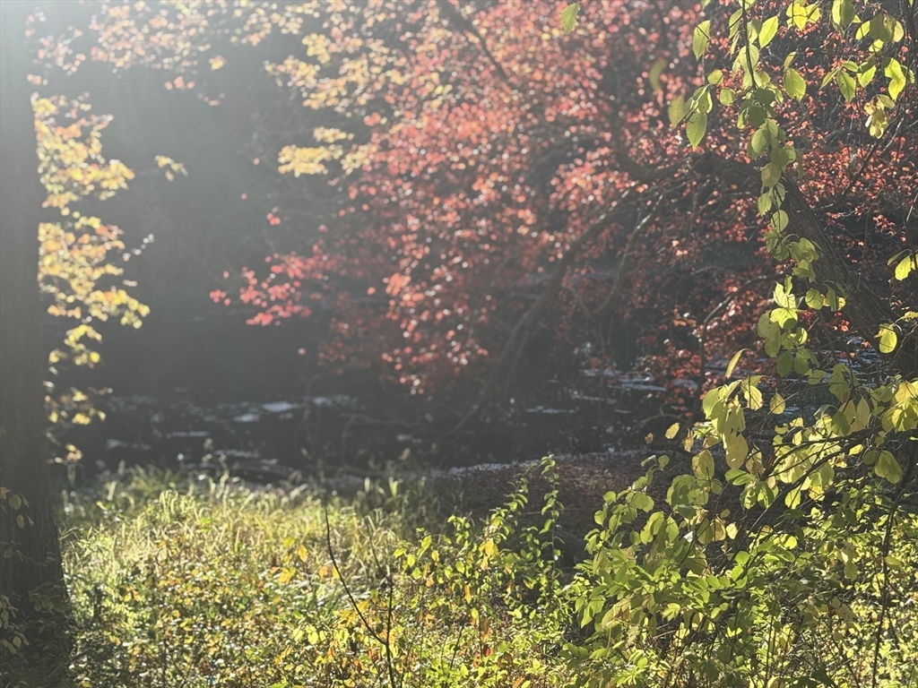 9 Howarth Road Oxford, MA 01540 - Photo 40 of 42