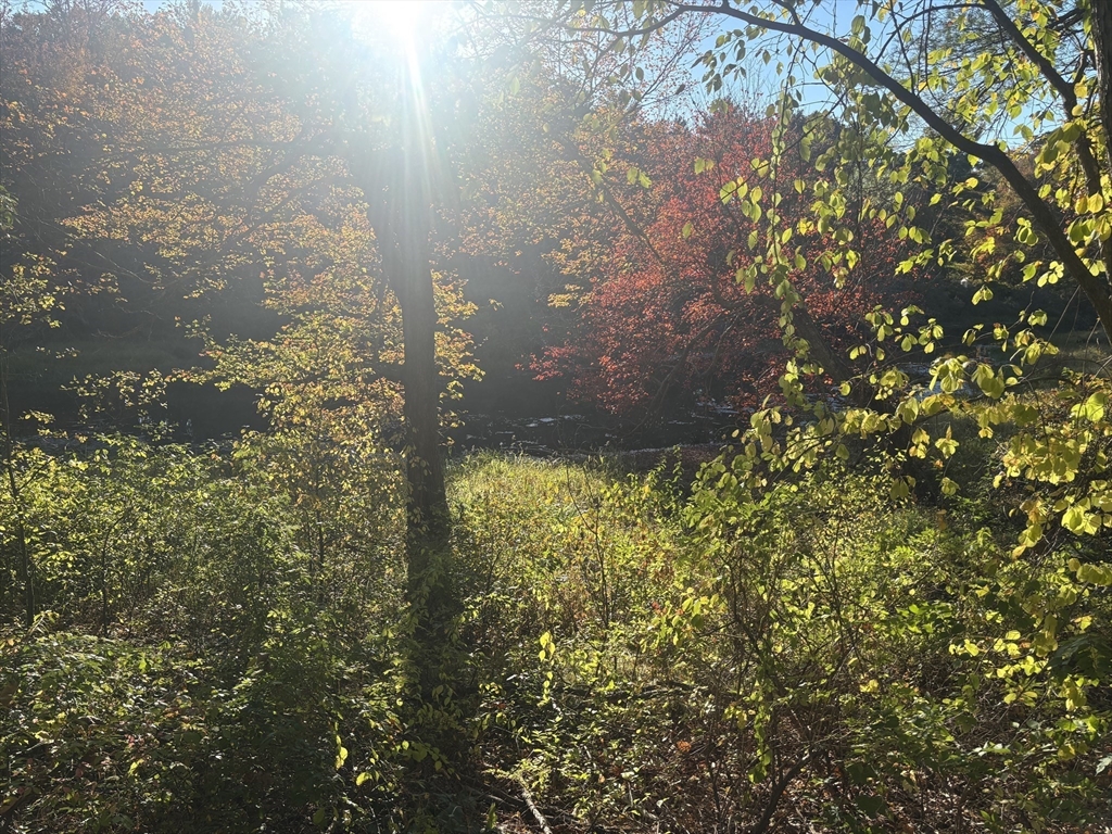 9 Howarth Road Oxford, MA 01540 - Photo 41 of 42