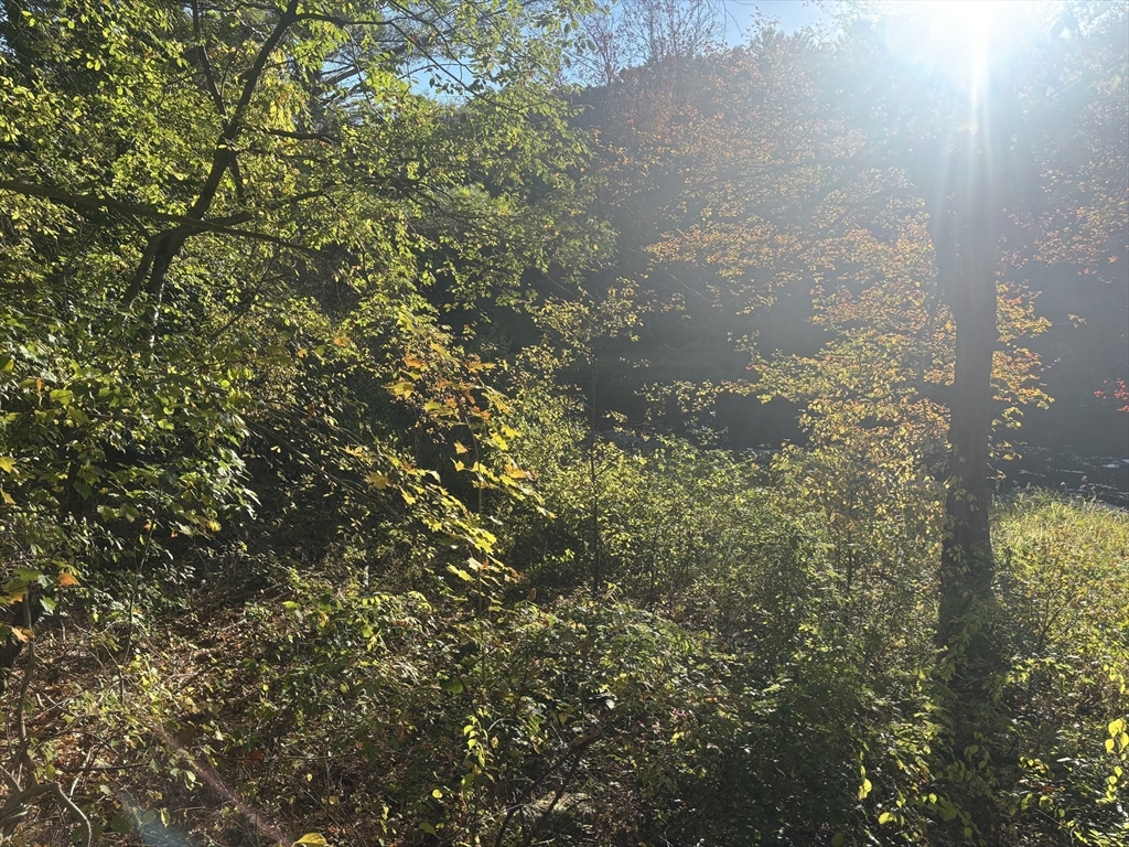 9 Howarth Road Oxford, MA 01540 - Photo 42 of 42