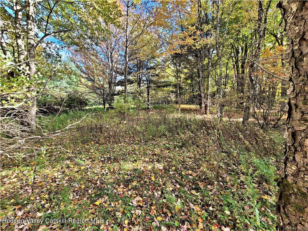 0 Kaufman Road Monticello, NY 12701 - Photo 36 of 49 GetMedia (22)