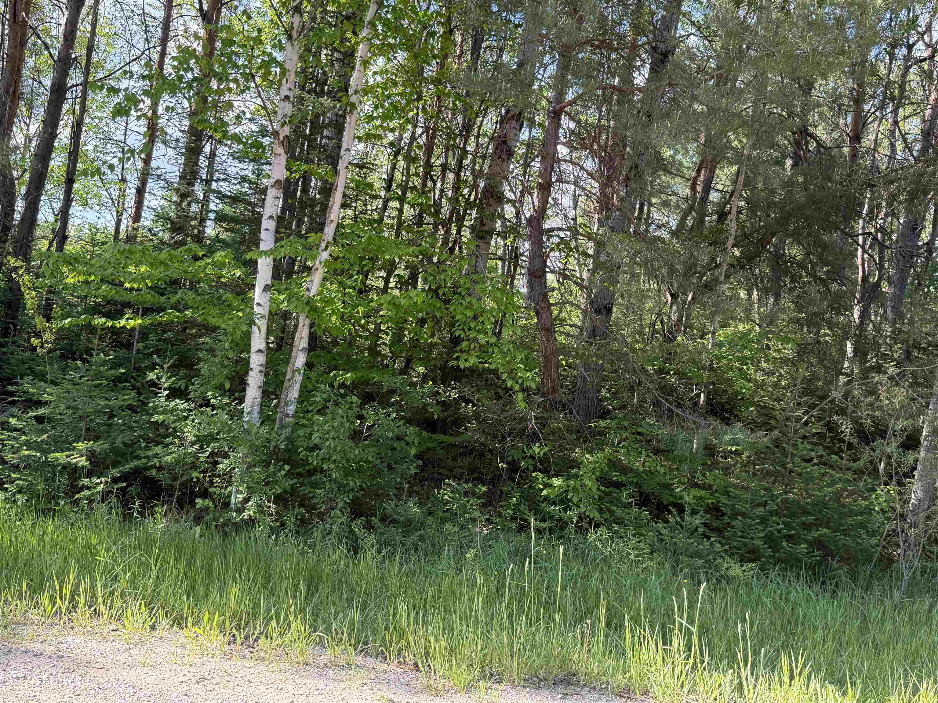 17110 21 Mile Road Tustin, MI 49688 - Photo 12 of 18