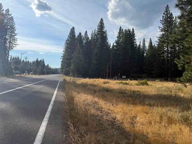 a view of tree next to a yard